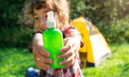 Naturalne metody odstraszania komarów i meszek: skuteczne zapachy i środki
